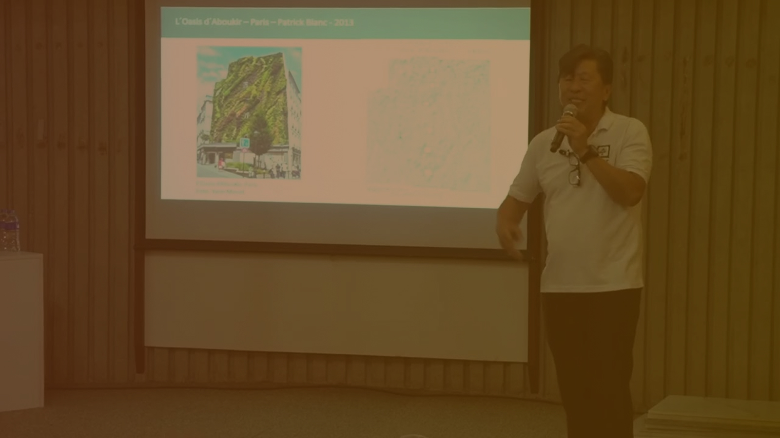 Paisagismo Urban Jungle: Luz, Substrato e as Técnicas que Fazem as Plantas Viverem